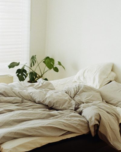 pexels-harryj95-3231743